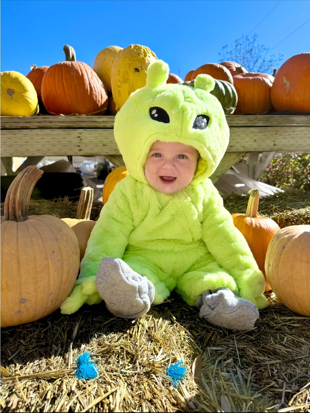 Pottery Barn Kids Green Alien Baby Halloween Costume - Picture 4 of 6